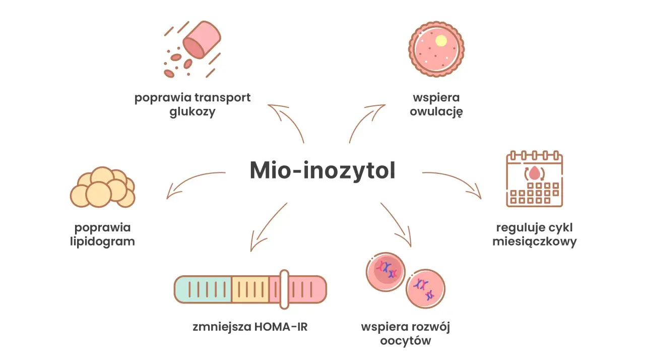 Mio-inozytol: kiedy brać? Wspiera owulację, reguluje cykl, poprawia transport glukozy, lipidogram, zmniejsza HOMA-IR i rozwój oocytów.