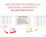 Czy można brać probiotyki profilaktycznie? Tabela przedstawia różne szczepy bakterii, które pomagają odbudować mikrobiotę po antybiotyku.