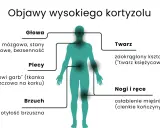 Objawy wysokiego kortyzolu: mgła mózgowa, otyłość brzuszna, "twarz księżycowata". Dowiedz się, jak obniżyć kortyzol.