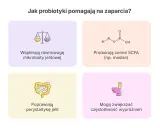Probiotyki wspierają równowagę mikrobioty, produkują SCFA, poprawiają perystaltykę jelit i mogą zwiększać częstotliwość wypróżnień, co odpowiada na pytanie, czy probiotyk powoduje zaparcia.